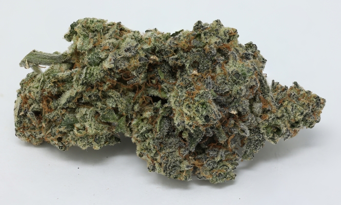 Mail order 420